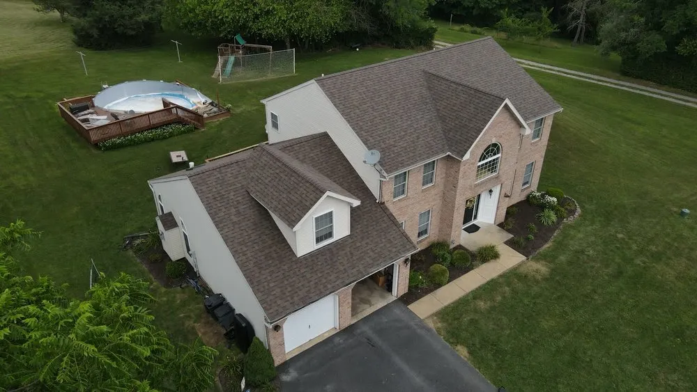 Slide of Gorilla Exterior