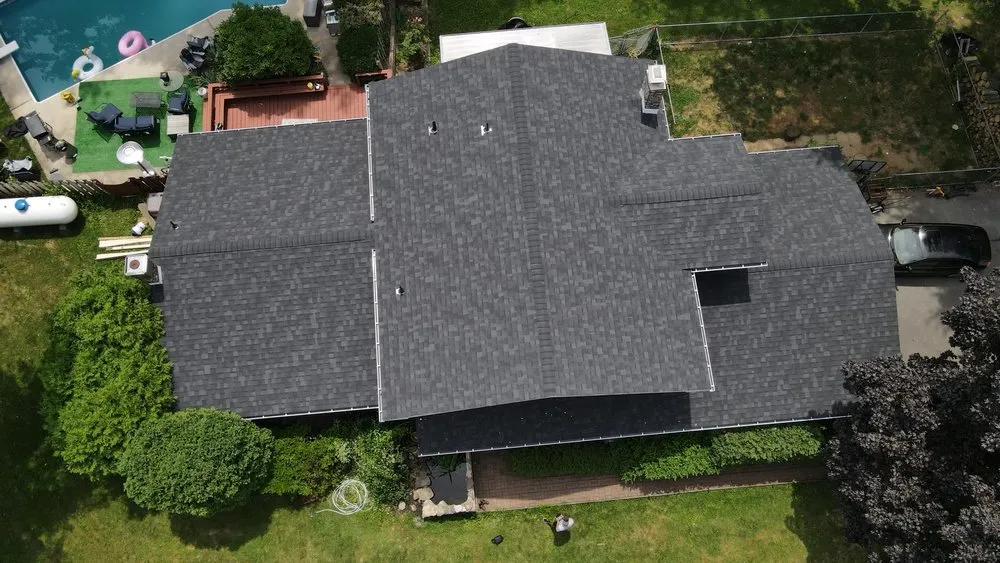 Slide of Gorilla Exterior