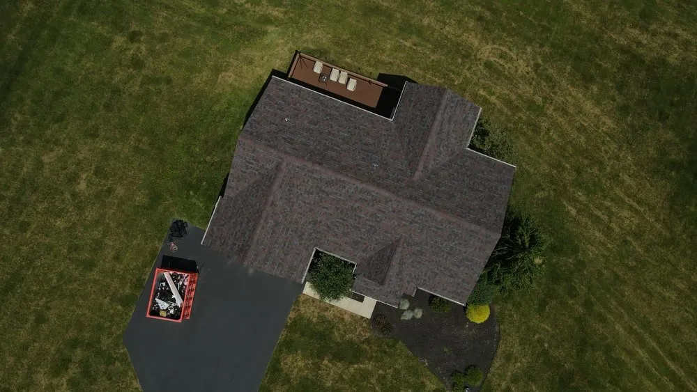 Slide of Gorilla Exterior