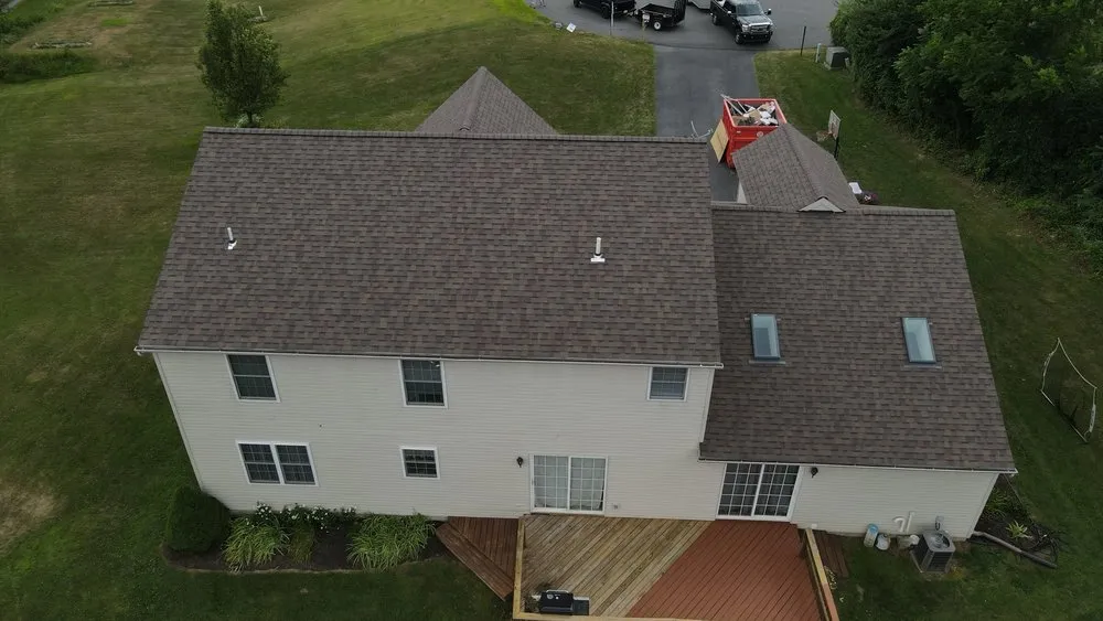 Slide of Gorilla Exterior