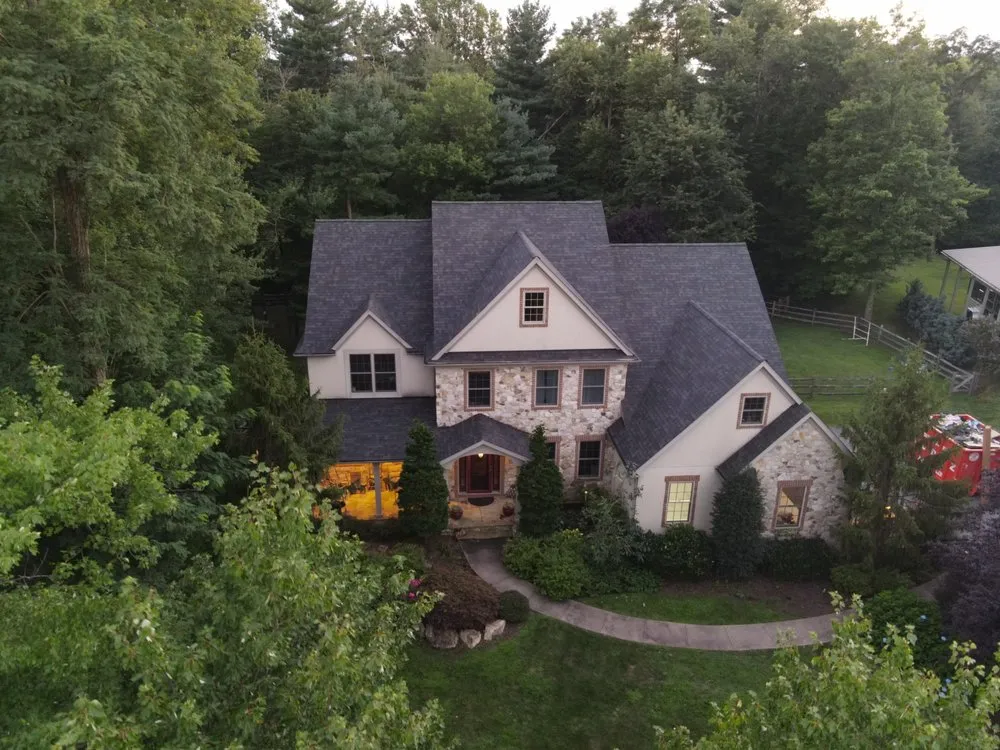 Slide of Gorilla Exterior