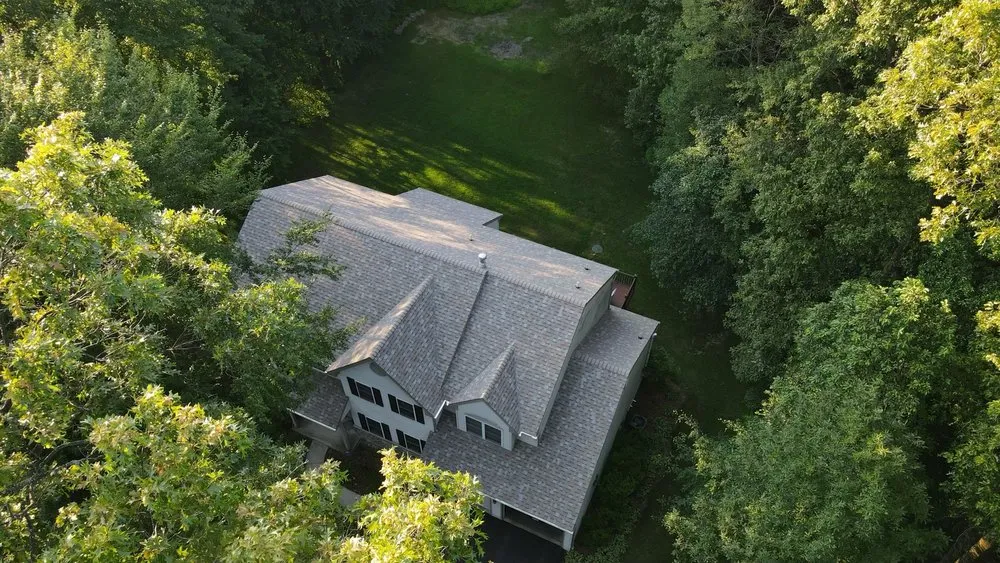 Slide of Gorilla Exterior