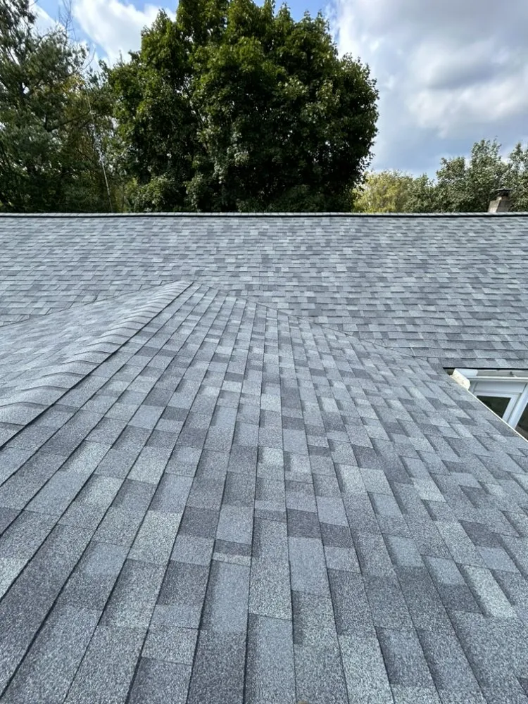 Slide of Gorilla Exterior