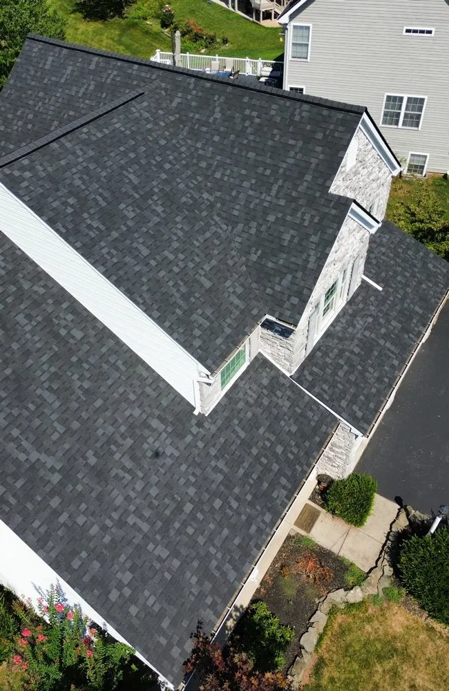 Slide of Gorilla Exterior