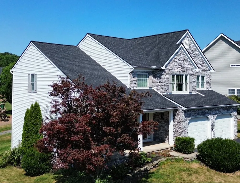 Slide of Gorilla Exterior