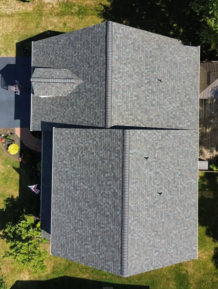 Slide of Gorilla Exterior