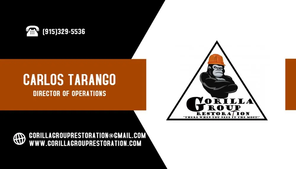 Slide of Gorilla Group Restoration