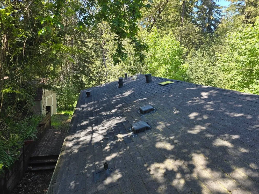 Slide of GORILLA ROOFING