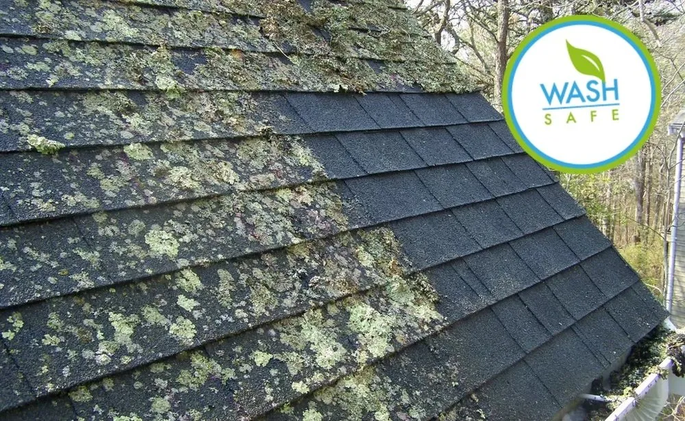 Slide of Gorman Coatings