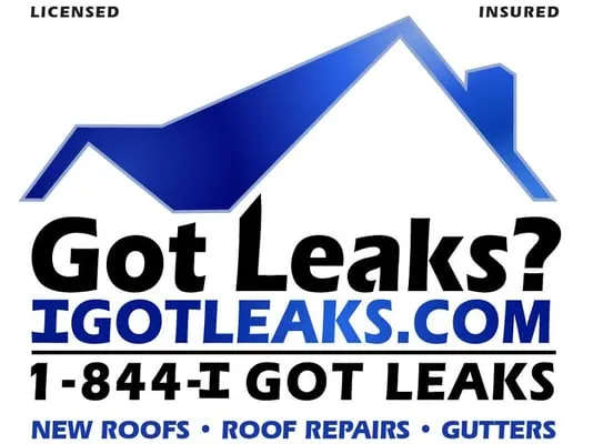 Got Leaks Logo