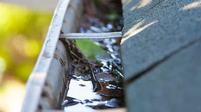 Got You Covered Logo