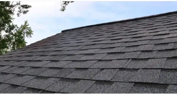 Slide of Gotham Pros