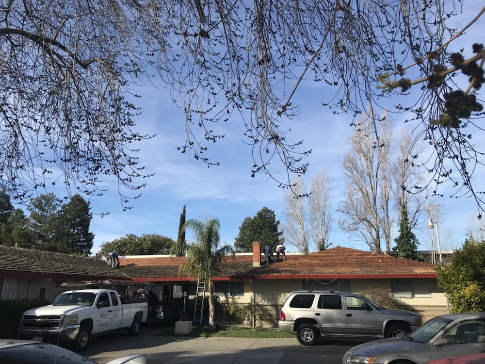 Slide of Govea Roofing