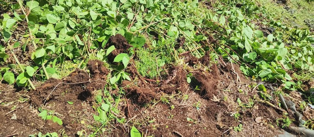 Slide of G&R HANDYMAN SERVICES