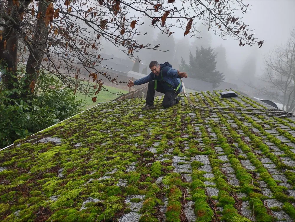 Slide of Grace Roof & Gutter Cleaning