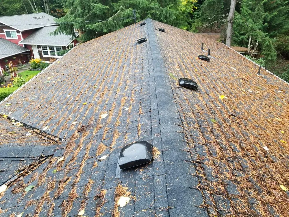 Slide of Grace Roof Cleaning
