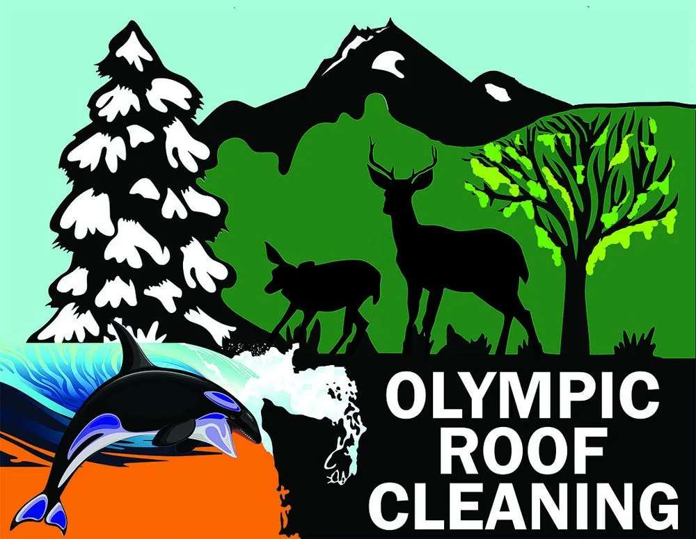 Slide of Grace Roof Cleaning