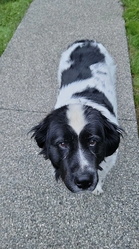 Slide of Grace Roof Cleaning