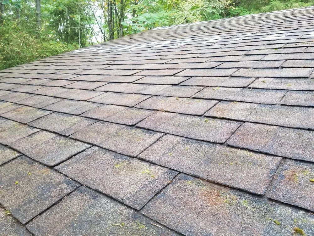 Slide of Grace Roof Cleaning
