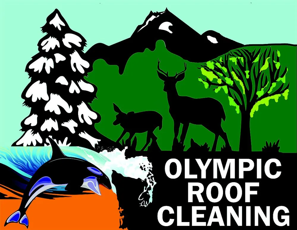 Slide of Grace Roof Cleaning