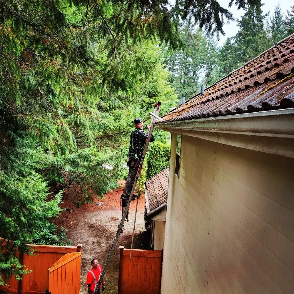 Slide of Grace Roof Cleaning