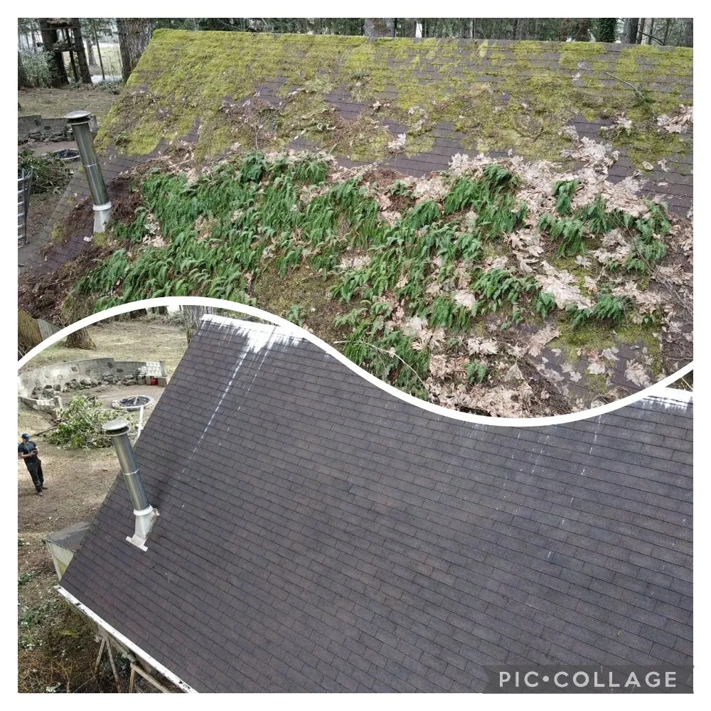 Slide of Grace Roof Cleaning