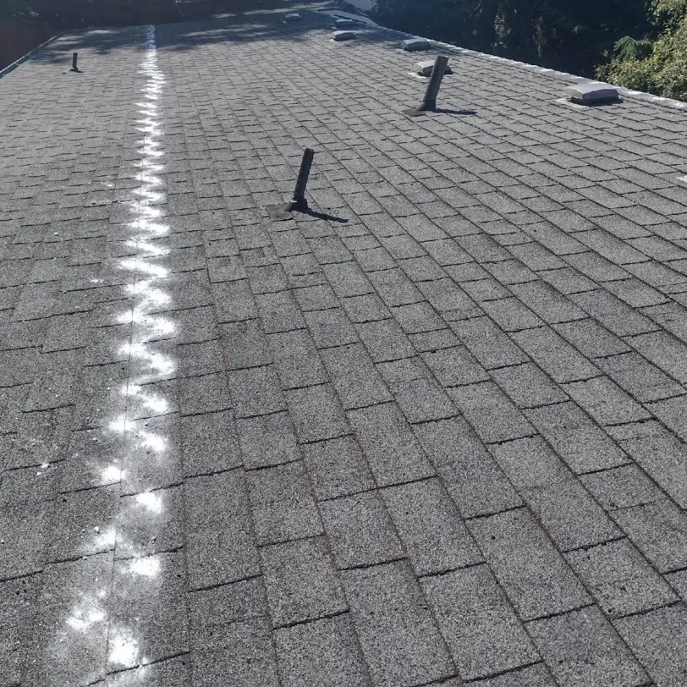 Slide of Grace Roof Cleaning
