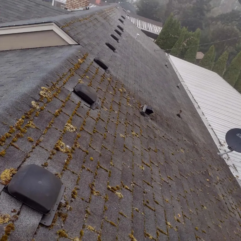 Slide of Grace Roof Cleaning