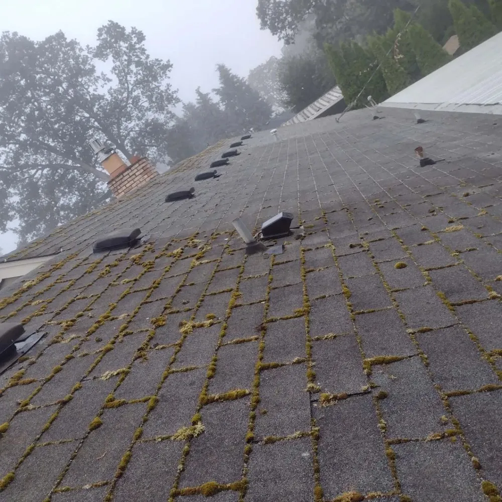 Slide of Grace Roof Cleaning