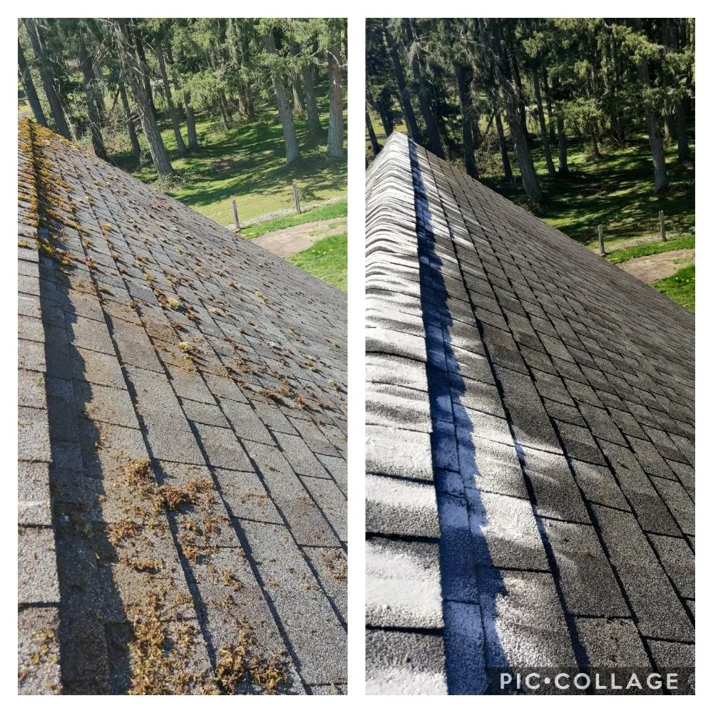 Slide of Grace Roof Cleaning
