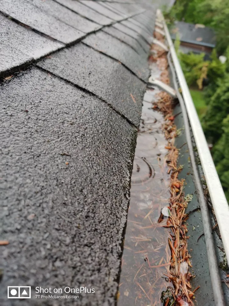 Slide of Grace Roof Cleaning