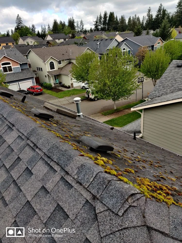 Slide of Grace Roof Cleaning