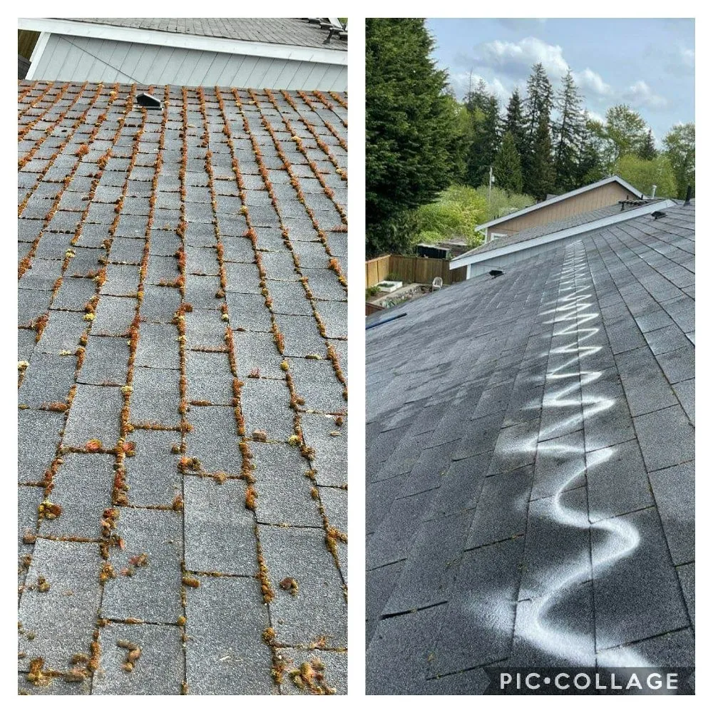 Slide of Grace Roof Cleaning