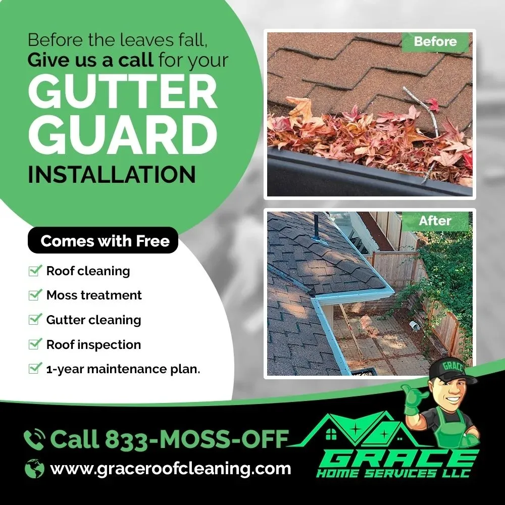 Slide of Grace Roof Cleaning