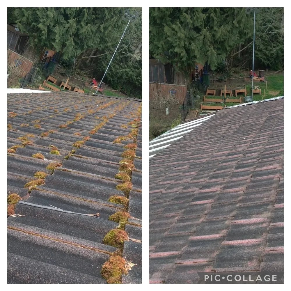 Slide of Grace Roof Cleaning