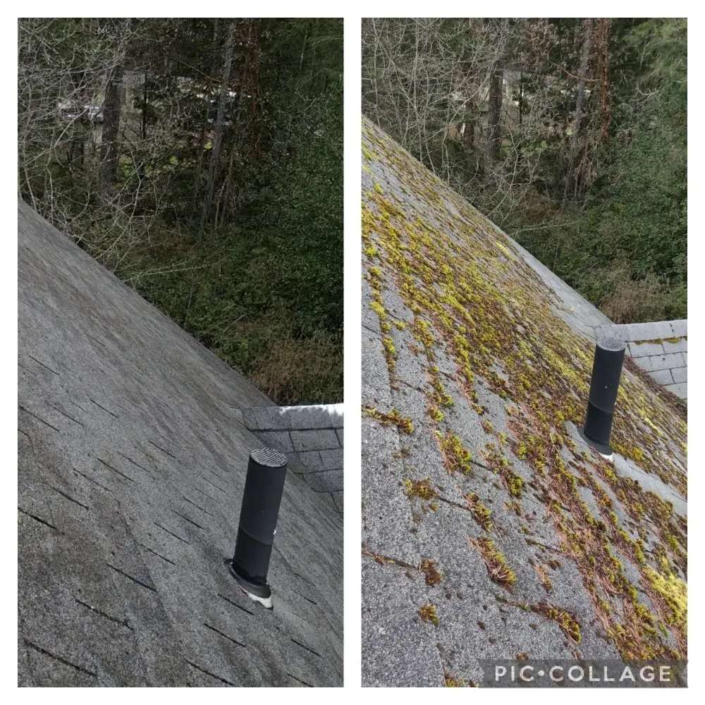 Slide of Grace Roof Cleaning