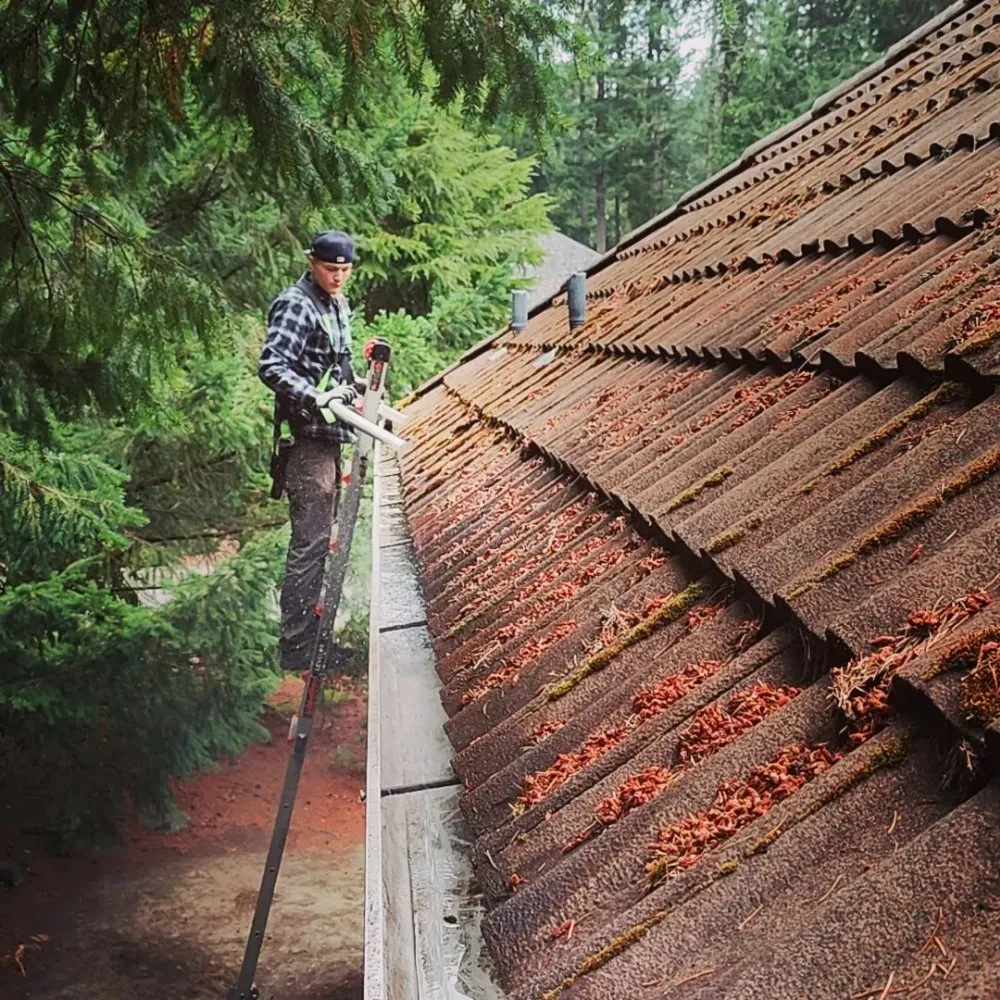 Slide of Grace Roof Cleaning