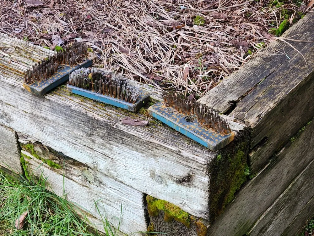 Slide of Grace Roof Cleaning