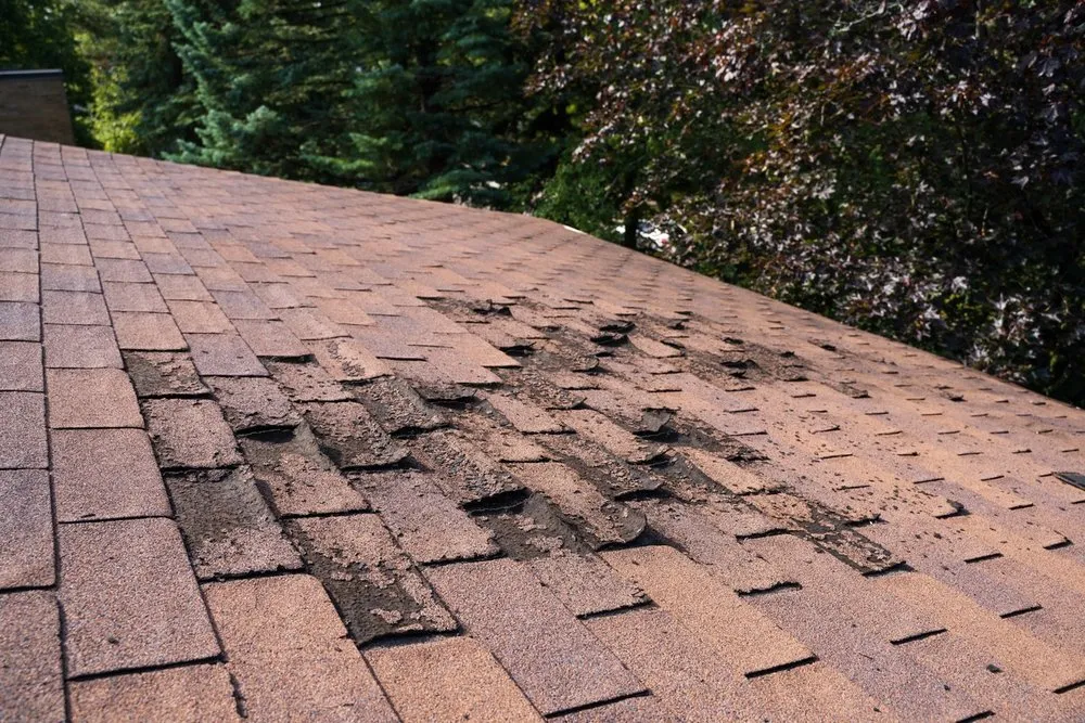 Slide of Grand Roofing