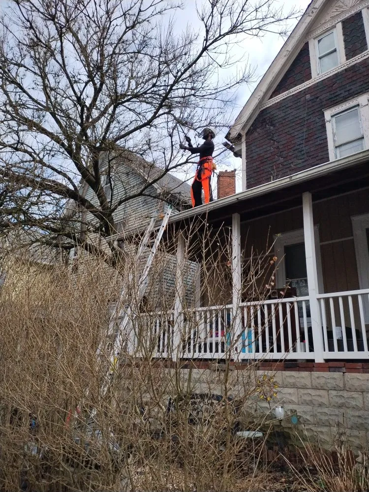 Slide of Grandmas Touch