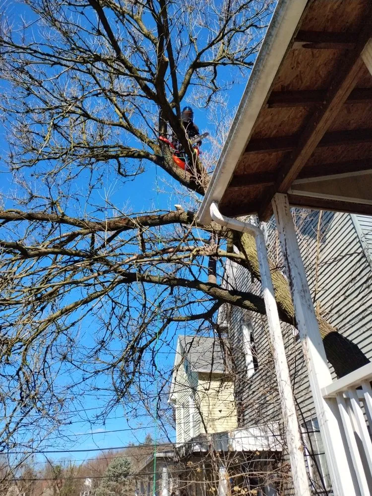 Slide of Grandmas Touch