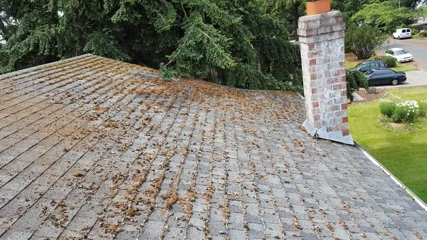 Slide of Grant Roofing & Pressure Washing