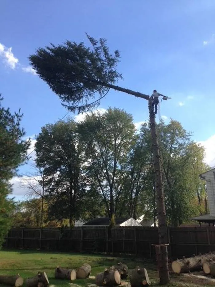 Slide of Grants Roofing Company