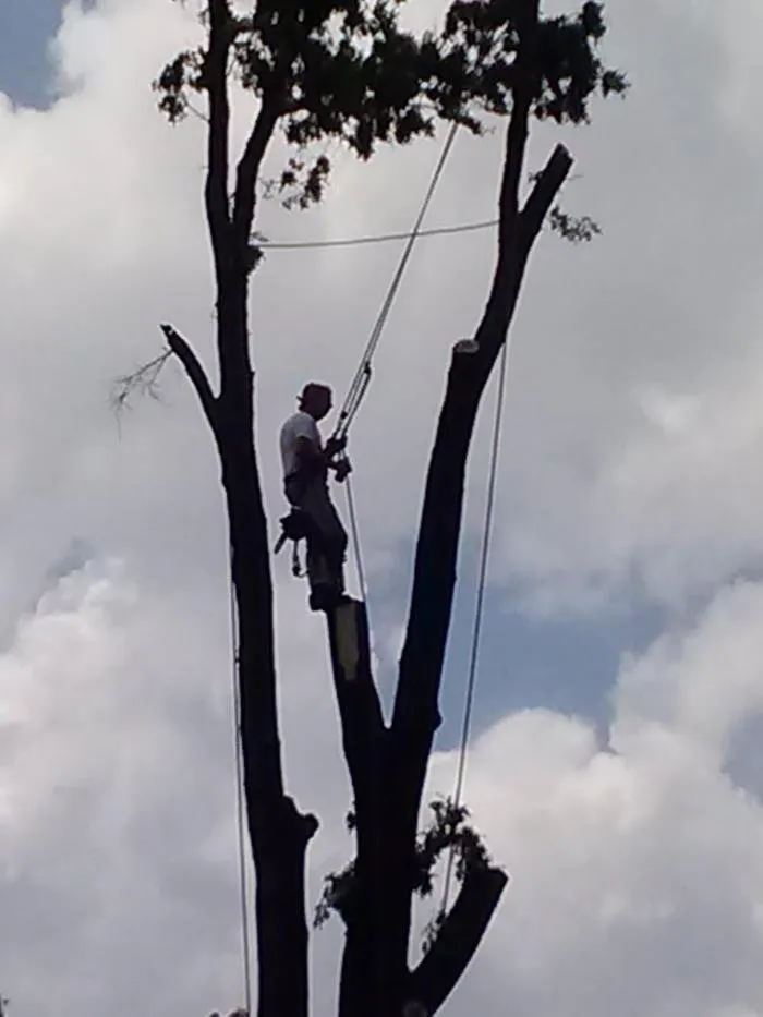 Slide of Grants Roofing Company