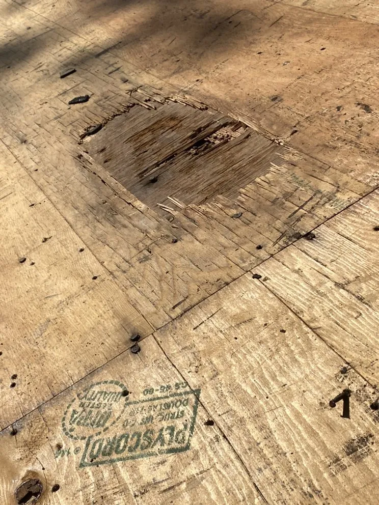 Emergency roof leak repair in Woodbridge Township, NJ by Grapevine Pro