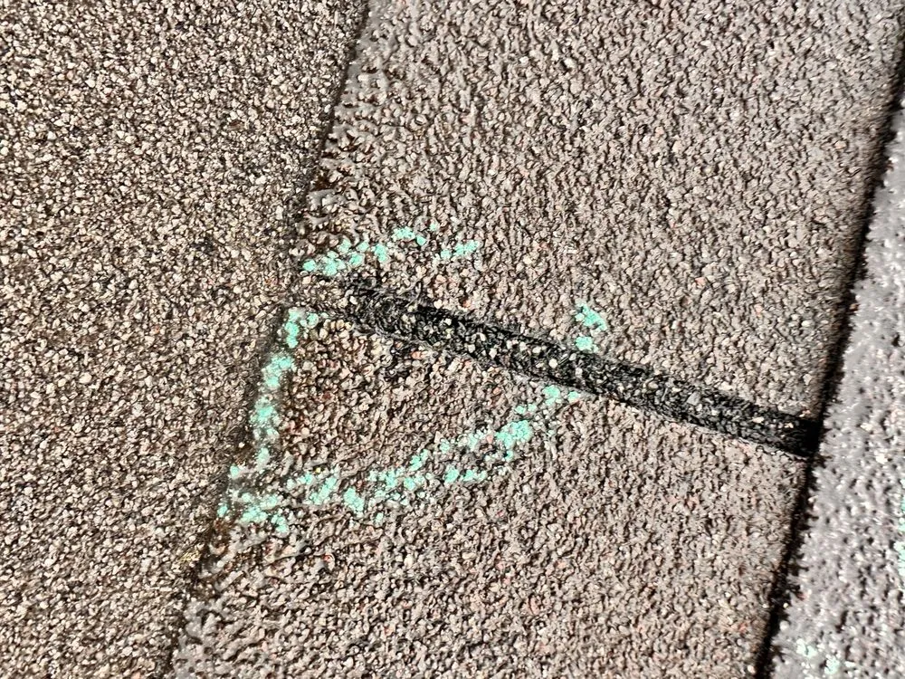 Slide of Grasshopper Roofing