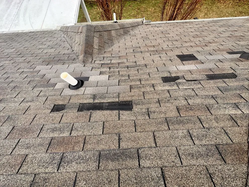 Slide of Grasshopper Roofing