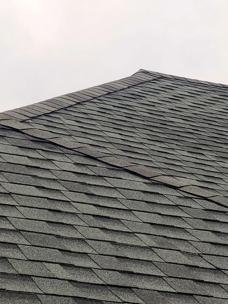 Slide of Grasshopper Roofing