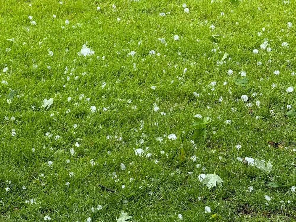Slide of Grasslands Roofing