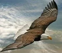 Slide of Grateful Construction